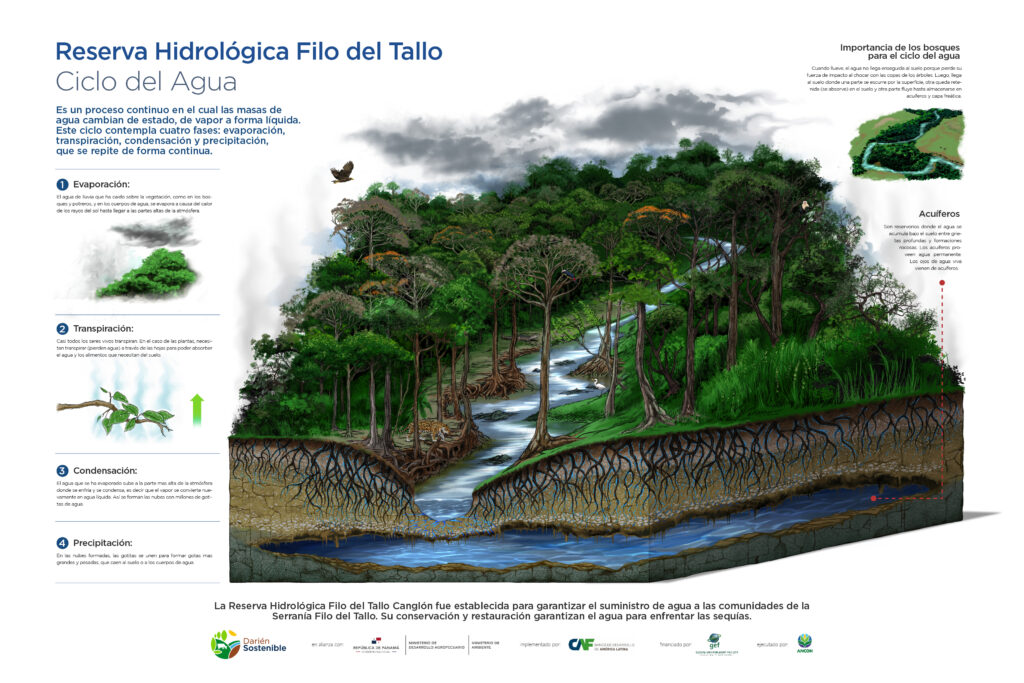 Ciclo del Agua, Reserva Hidrológica Filo del Tallo