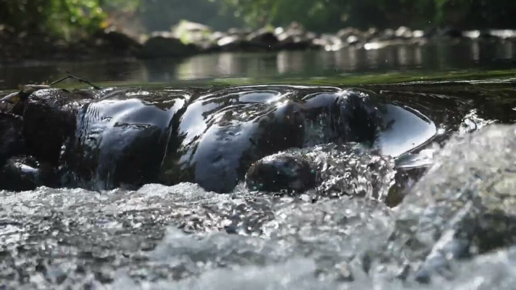 Ecosistemas asociados a la Reserva Hidrológica Filo del Tallo Canglón