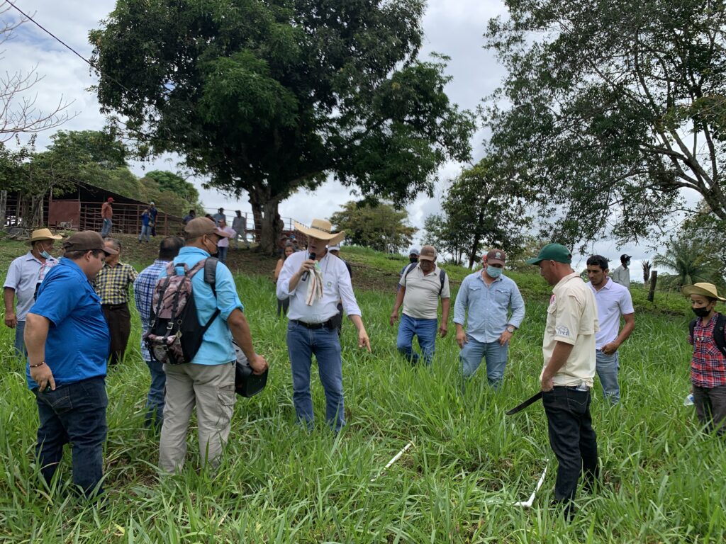 Taller: Planificación y conservación de forraje