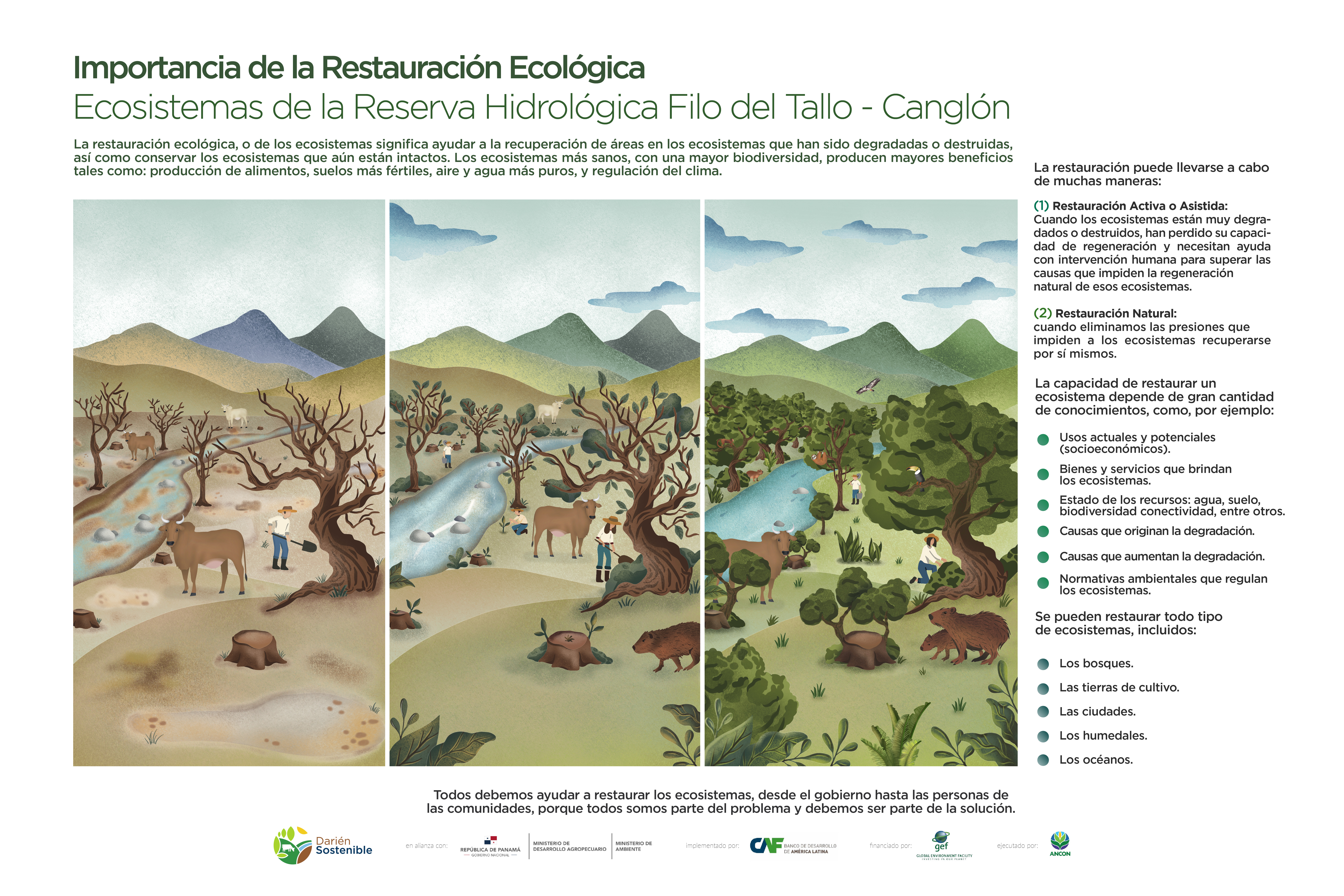 Importancia de la Restauración Ecológica